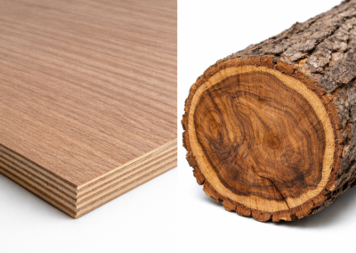 Custom Furniture | Sofa Repair | Design Studio